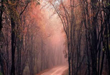 太恐怖雷霆赛季第49次净胜两位数 距离历史纪录只差1场.