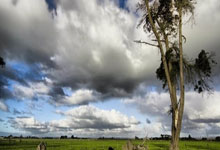 必赢：BBC评选2024年英超之最 红军全年表现最佳炮兵居次.