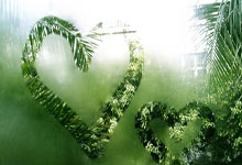 伊斯兰教领袖阿迦汗四世逝世，享年88岁.