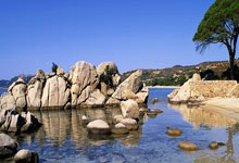 利物浦转会:买左翼利好涨薪留右翼 引锋线王牌遇阻碍.